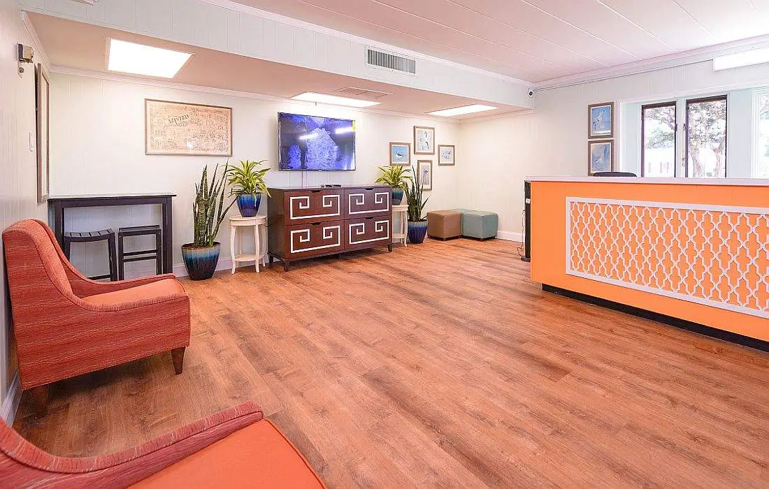 A reception area with a bright orange desk, two red armchairs, a dark wood dresser, and several potted plants